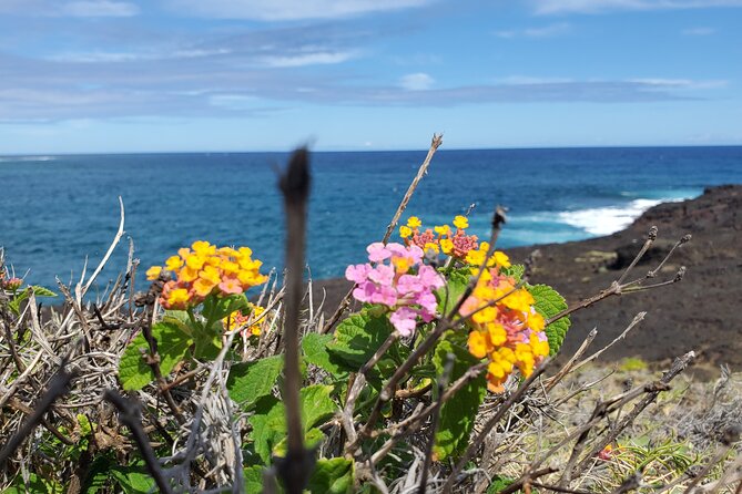 Big Island Southside ATV Tour - Riding the lava tube trail