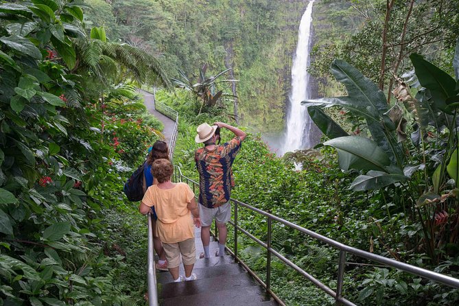 Big Island Waterfalls Tour with Swimming and Botanical Garden - A malasada at Tex Drive-In