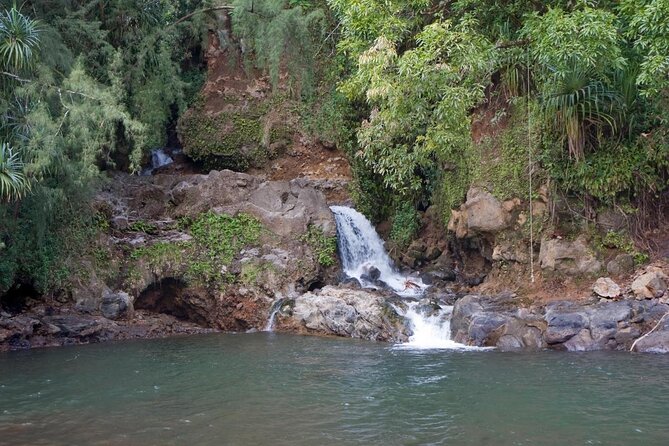 Big Island Zipline Tour Near Akaka Falls (250-ft Waterfall!) - Seven lines that ease you into the action