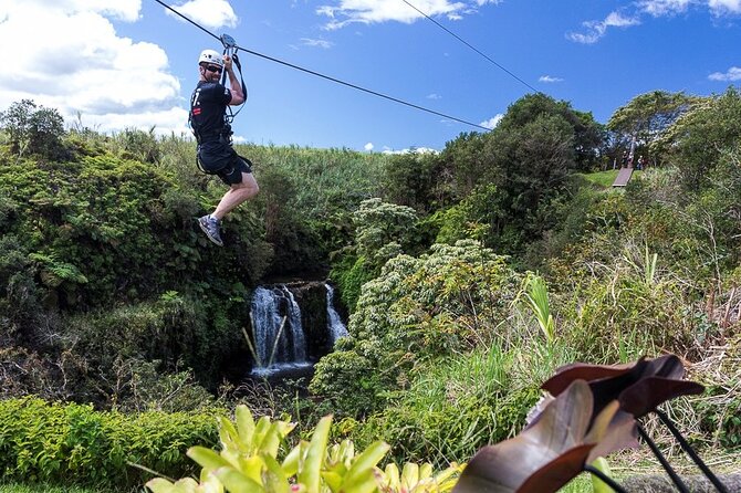 Big Island Zipline Tour Near Akaka Falls (250-ft Waterfall!) - Rainforest, ridges, and Pacific views