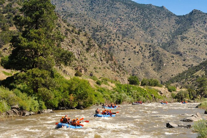 Bighorn Sheep Canyon Half Day Tour (Free Wetsuit Gear Use) - My call: book it for a first taste of Colorado whitewater