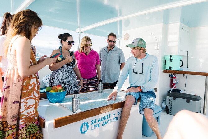 Biologist Owned & Operated: Dolphin Watching & Guided Snorkeling - A quiet catamaran and a very different Key West wildlife trip