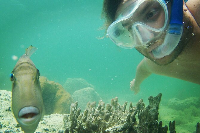 Biologist Owned & Operated: Dolphin Watching & Guided Snorkeling - Is $143.05 a fair price?