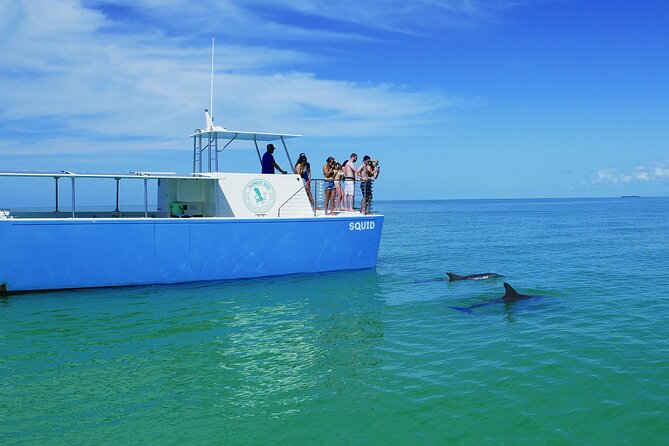 Biologist Owned & Operated: Dolphin Watching & Guided Snorkeling - Weather, cancellations, and choosing the right departure