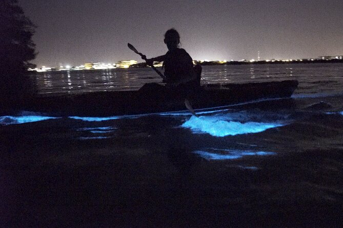 Bioluminescence Kayak Tour - Starting at Kiwanis Island after dark