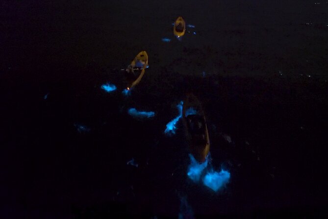 Bioluminescence Kayak Tour - The winter version: gentle glowing comb jellies