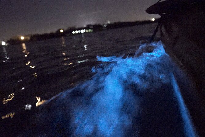 Bioluminescence Kayak Tour - Wildlife beyond the glowing water