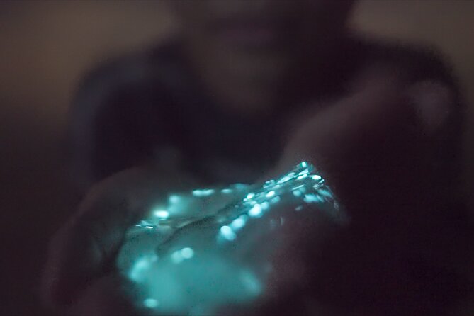 Bioluminescence Kayak Tour - What the two hours actually demand