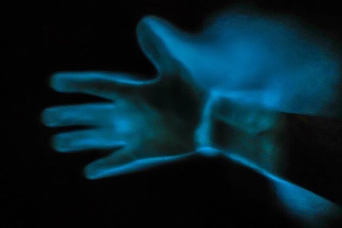 Bioluminescence Kayak Tour - What to wear and carry