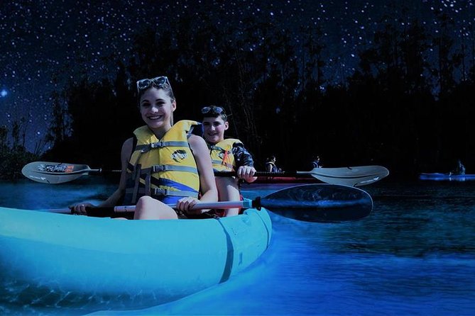 Bioluminescence Night Kayaking Tour of Merritt Island Wildlife Refuge - Key points about the night paddle