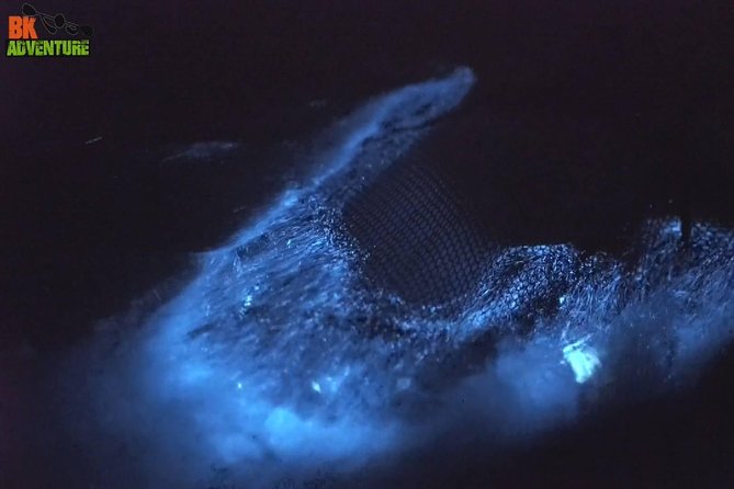 Bioluminescence Night Kayaking Tour of Merritt Island Wildlife Refuge - Meeting your guide at Haulover Canal