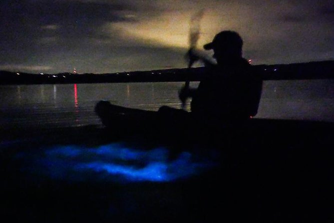 Bioluminescence Night Kayaking Tour of Merritt Island Wildlife Refuge - The small group helps, but spacing still matters