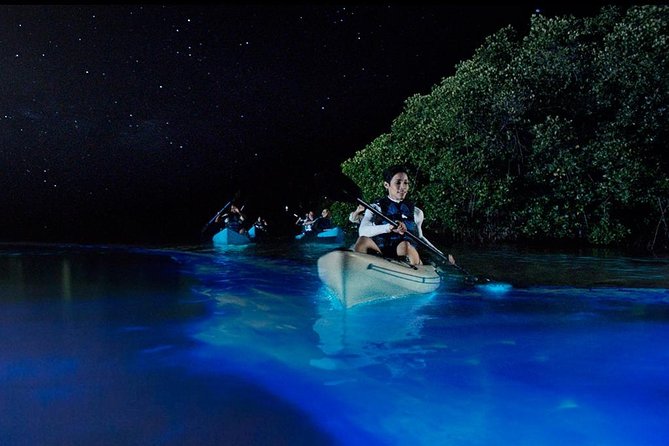 Bioluminescence Night Kayaking Tour of Merritt Island Wildlife Refuge - Paddling through protected wetlands