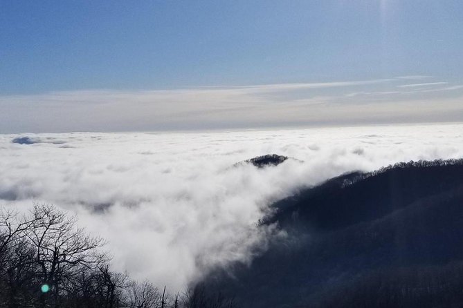 Blue Ridge Parkway Waterfalls Hiking Tour from Asheville - DuPont State Recreational Forest is the walking heart of the day