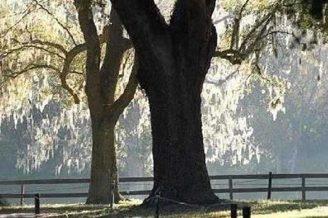 Boone Hall Plantation Admission & Tour with Transportation from Charleston - The slave cabins and the difficult part of the visit