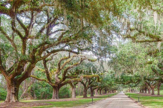 Boone Hall Plantation All-Access Admission Ticket - Make time for the Gullah culture presentation