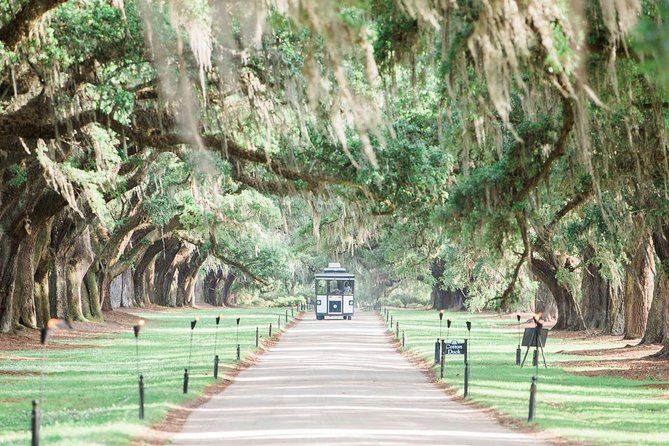 Boone Hall Plantation All-Access Admission Ticket - The nine cabins and Black History in America exhibit