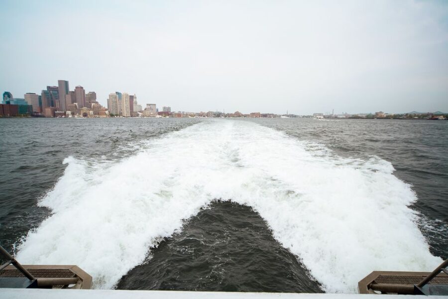 Boston: City Cruises Whale Watching Cruise - Quick reasons to consider this Boston cruise