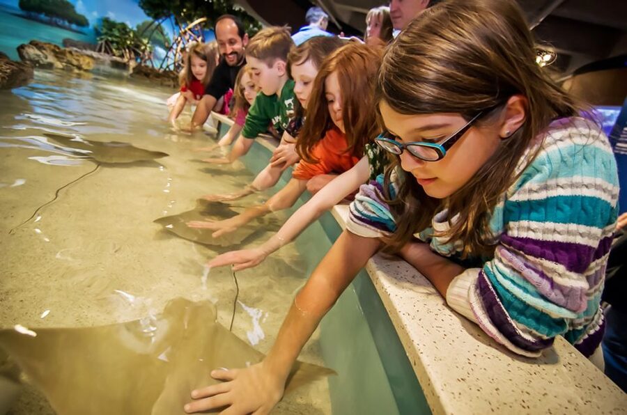 Boston: New England Aquarium Entry + Optional Simons Theatre - Key points to know before you go