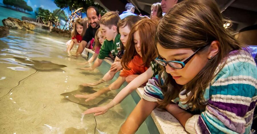 Boston: New England Aquarium Entry + Optional Simons Theatre - Look closer at small reef life in the Yawkey Coral Reef Center
