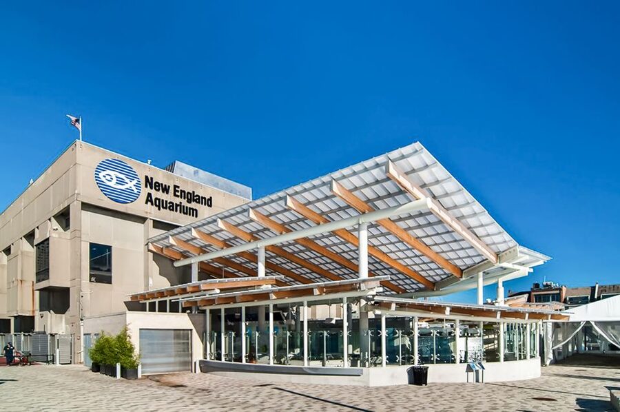 Boston: New England Aquarium Entry + Optional Simons Theatre - Begin with the penguins around the central tank