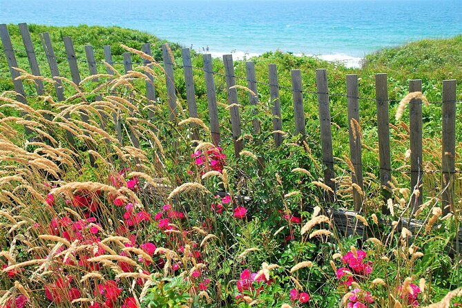 Boston to Martha's Vineyard Day Trip with Optional Island Tour - Choosing free time or the guided upgrade
