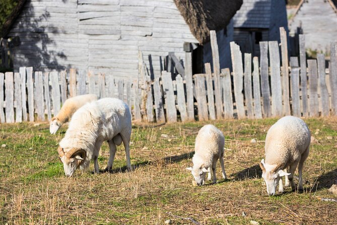 Boston to Plymouth Day-Trip including Quincy, Plimoth Patuxet and Mayflower II - Two hours at Plimoth Patuxet