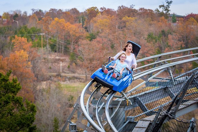 Branson Alpine Mountain Coaster Ticket - Is $25.98 a fair price?