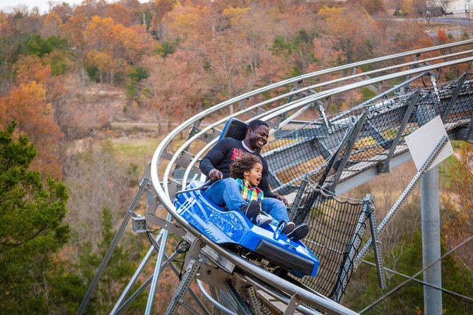Branson Alpine Mountain Coaster Ticket - Who will get the most from this ride?