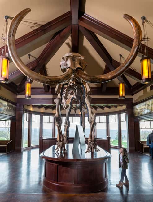 Branson: Top of the Rock Ozarks Heritage Preserve - Why the Ancient Ozarks Natural History Museum deserves real time