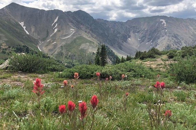 Breckenridge Ultimate Full Day Mountain Tour from Denver - Loveland Pass at 11,990 feet