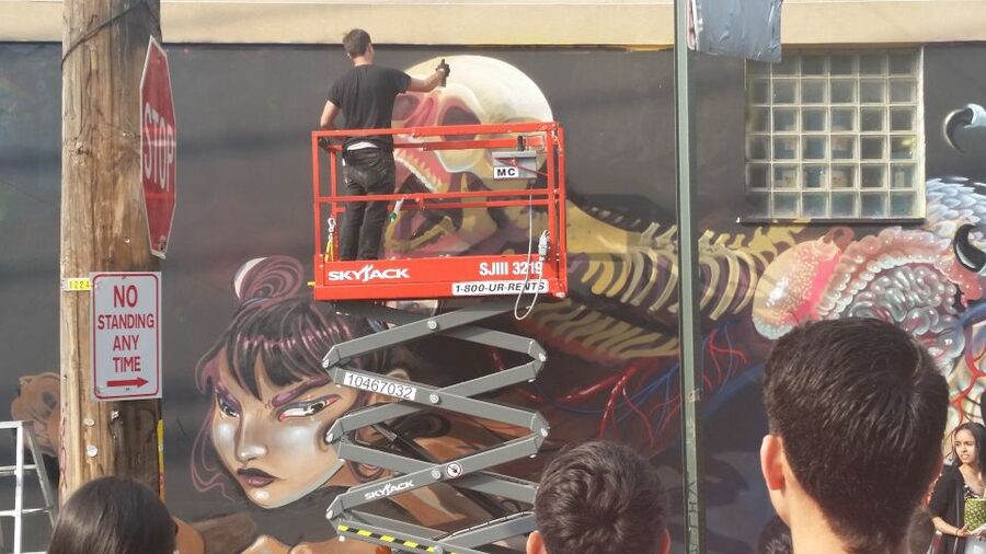 Brooklyn: Bushwick Street Art Walking Tour - Price, group size, and practical value