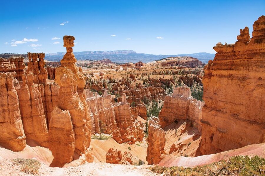 Bryce Canyon City Guided ATV/RZR Tour - What this one-hour Bryce Canyon ride is really like