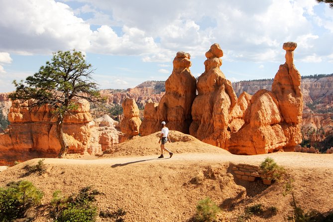 Bryce Canyon & Zion National Park from Las Vegas with Lunch, WiFi - Is $169 a fair price?