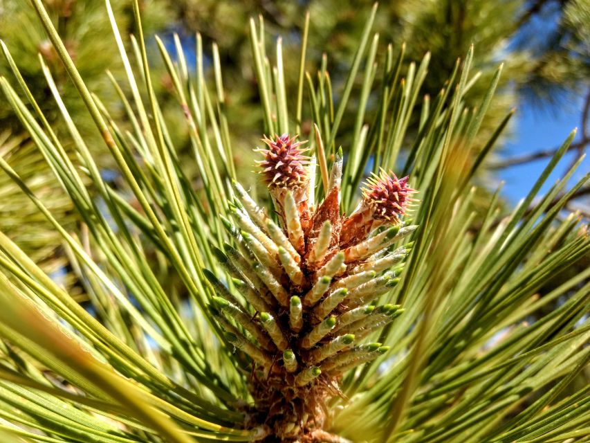 Bryce: Guided Sightseeing Tour of Bryce Canyon National Park - Who should book this Bryce Canyon tour?