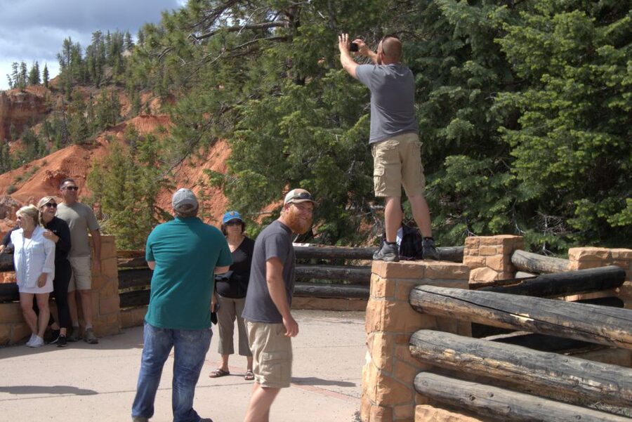 Bryce: Guided Sightseeing Tour of Bryce Canyon National Park - The Cathedral and conglomerate sections
