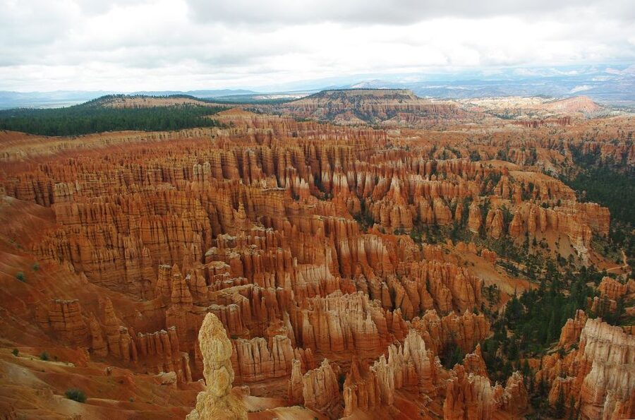 Bryce: Guided Sightseeing Tour of Bryce Canyon National Park - What the minivan adds