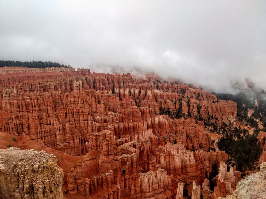 Bryce: Guided Sightseeing Tour of Bryce Canyon National Park - Price, timing, and practical value