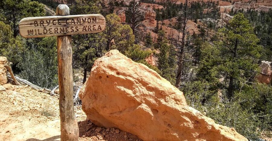 Bryce: Guided Sightseeing Tour of Bryce Canyon National Park - Fairyland Canyon and the bristlecone pine