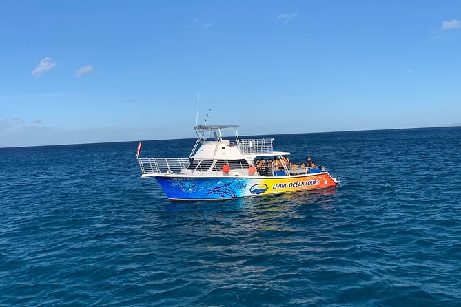BYOB Sunset Cruise off the Waikiki Coast - Sunset, city lights, and the return ride