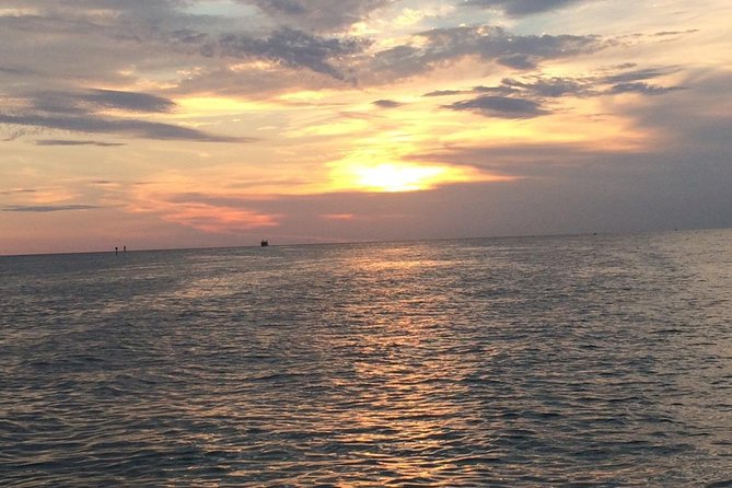 Calypso Queen Tropical Party Buffet Cruise - Wildlife and Clearwater views