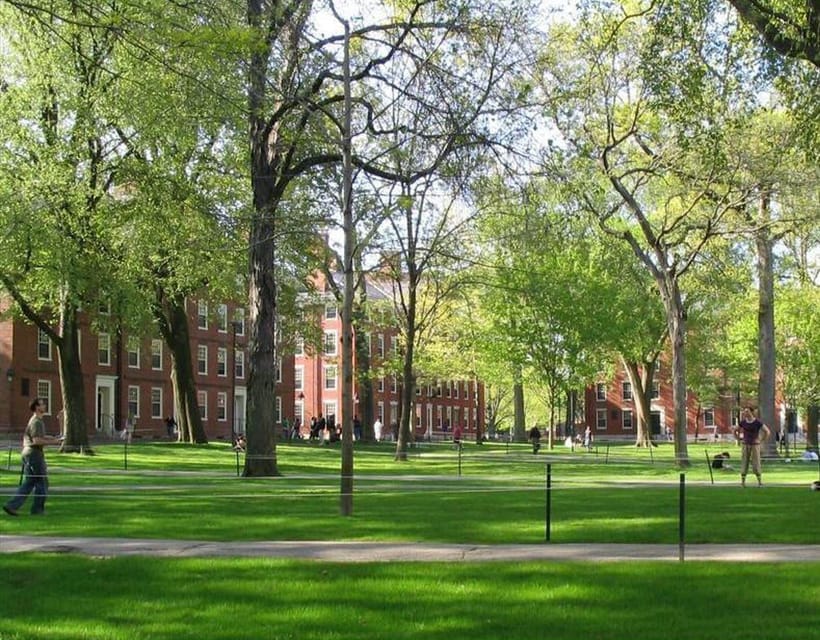 Cambridge, Massachusetts: MIT and Harvard Walking Tour - Taking the subway from MIT to Harvard