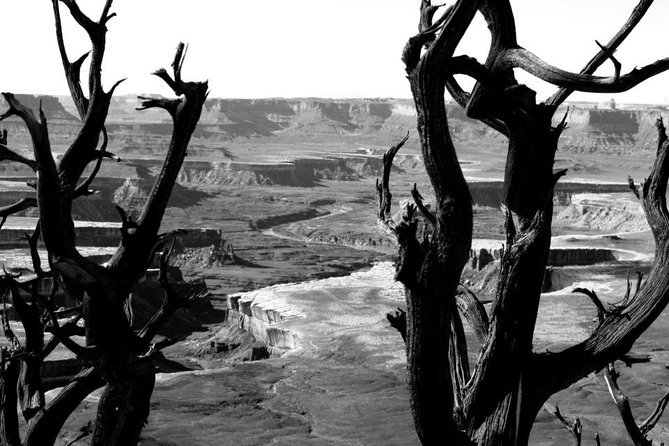 Canyonlands National Park Half-Day Tour from Moab - The Shafer Trail climb back to the mesa
