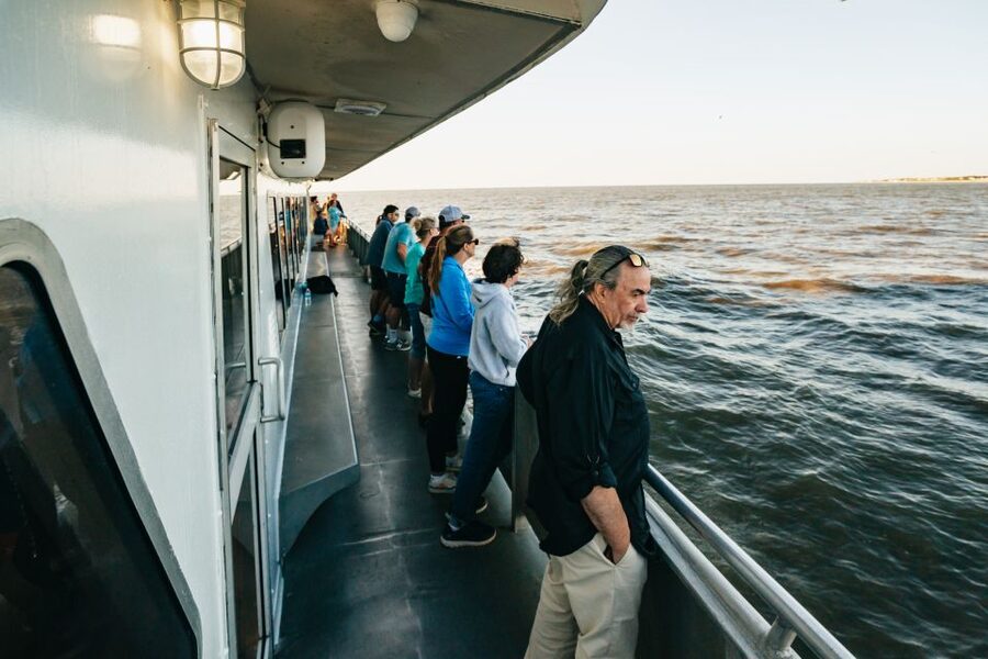 Cape May: Cape May Island Sunset Cruise & Dolphin Watching - Searching for dolphins near Cape May Point