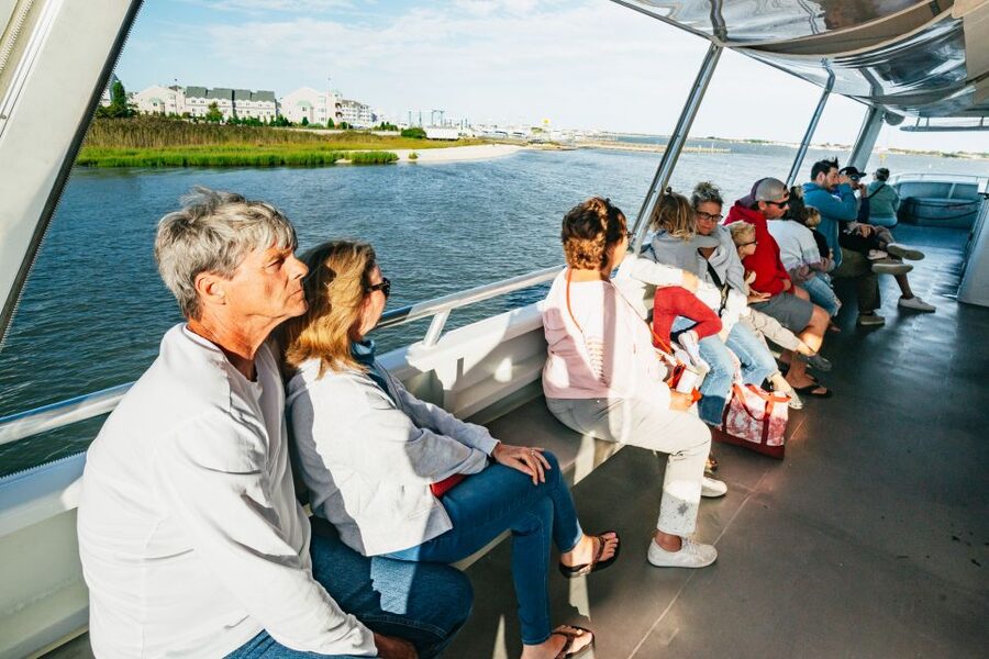 Cape May: Cape May Island Sunset Cruise & Dolphin Watching - Comfort, crowds, and the open water