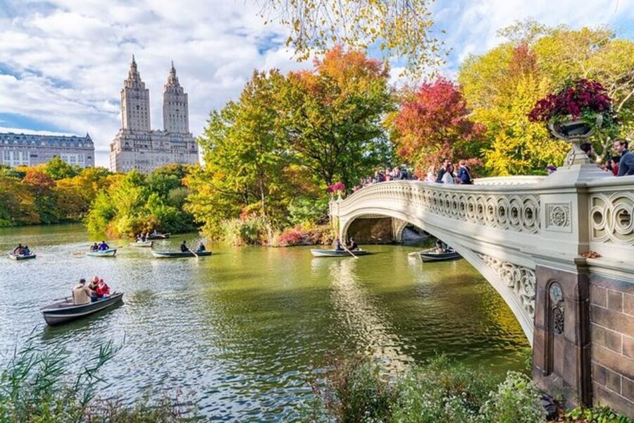 Central Park Bike Rental - The parts that require a little care