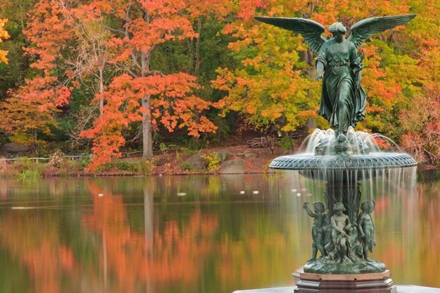 Central Park Bike Rental - Who should book this Central Park rental