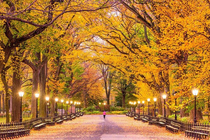 Central Park Pedicab Guided Tours - Key points to know before you book