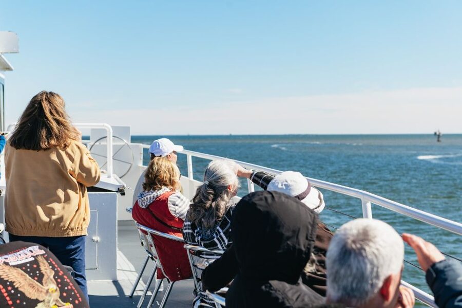 Charleston: Daytime or Sunset Historic Harbor Cruise - Dolphins, pelicans, and the luck of the water