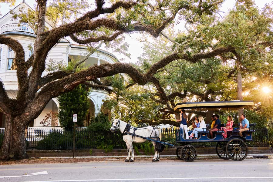Charleston: Downtown Horse-Drawn Carriage Tour - Why a carriage is a smart first look at Charleston